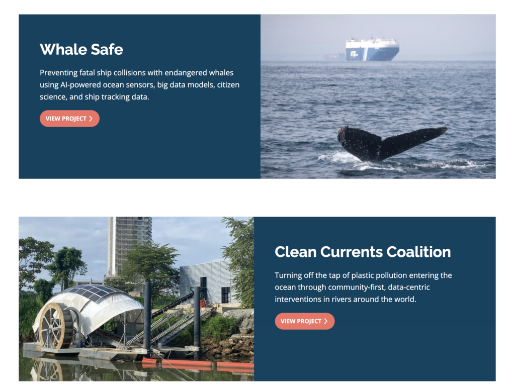 Whale Safe and Clean Current Coalition project overviews